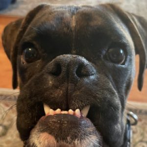 Profile photo of mmarshalls